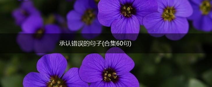 承认错误的句子(合集60句),第1张