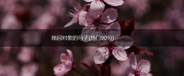 挽回对象的句子(热门90句),第1张