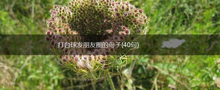 打台球发朋友圈的句子(40句),第1张