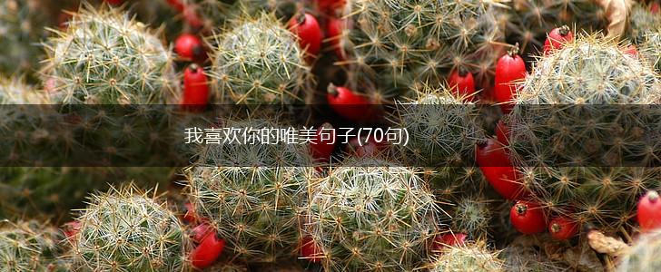 我喜欢你的唯美句子(70句),第1张