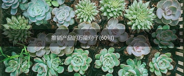 推销产品的万能句子(60句),第1张