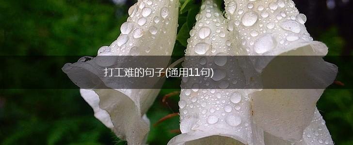 打工难的句子(通用11句),第1张