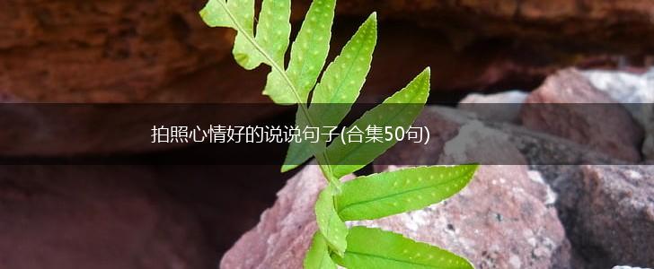 拍照心情好的说说句子(合集50句),第1张