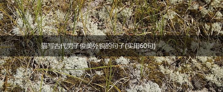 描写古代男子俊美外貌的句子(实用60句),第1张
