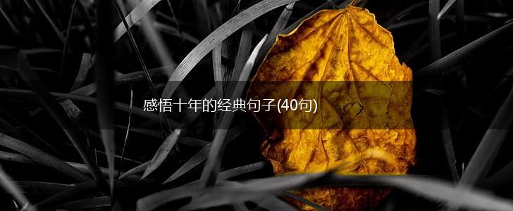 感悟十年的经典句子(40句),第1张