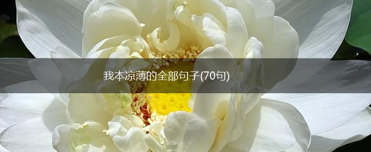 我本凉薄的全部句子(70句),第1张