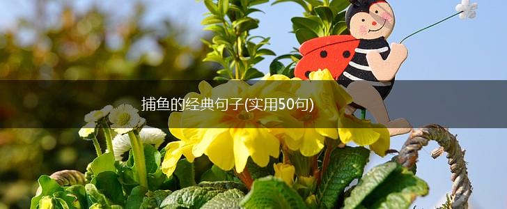 捕鱼的经典句子(实用50句),第1张