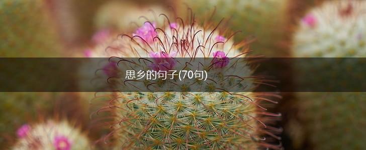 思乡的句子(70句),第1张