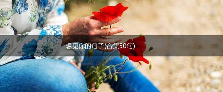 想见你的句子(合集50句),第1张