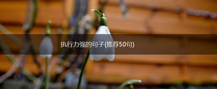 执行力强的句子(推荐50句),第1张