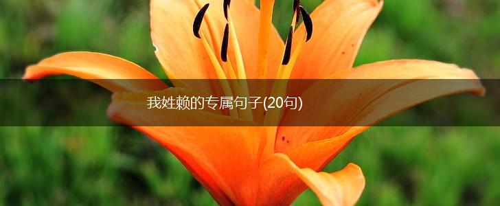我姓赖的专属句子(20句),第1张