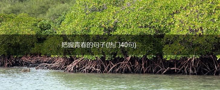 把握青春的句子(热门40句),第1张