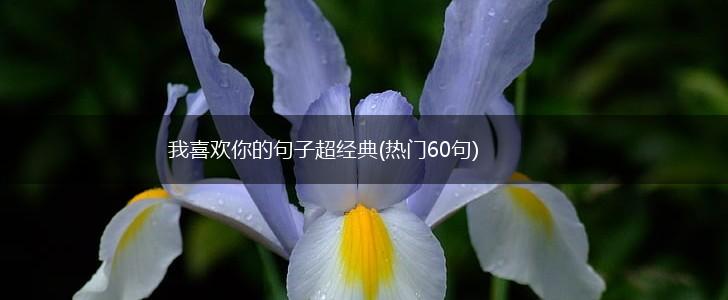 我喜欢你的句子超经典(热门60句),第1张