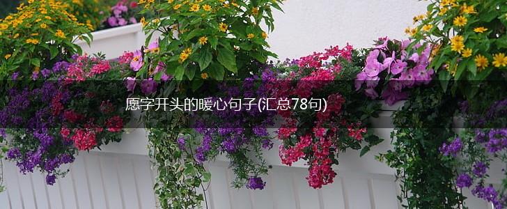 愿字开头的暖心句子(汇总78句),第1张