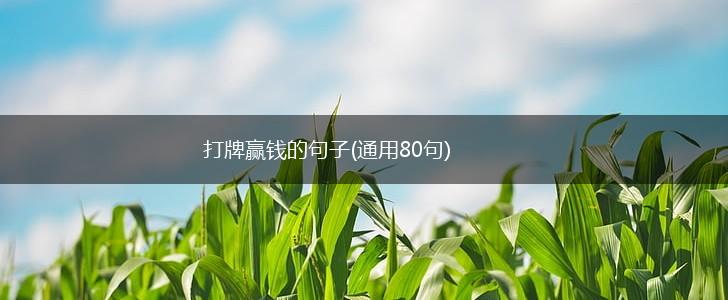 打牌赢钱的句子(通用80句),第1张
