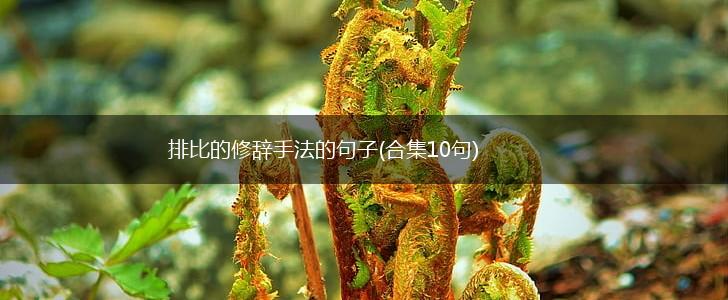 排比的修辞手法的句子(合集10句),第1张