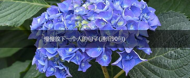 慢慢放下一个人的句子(通用90句),第1张