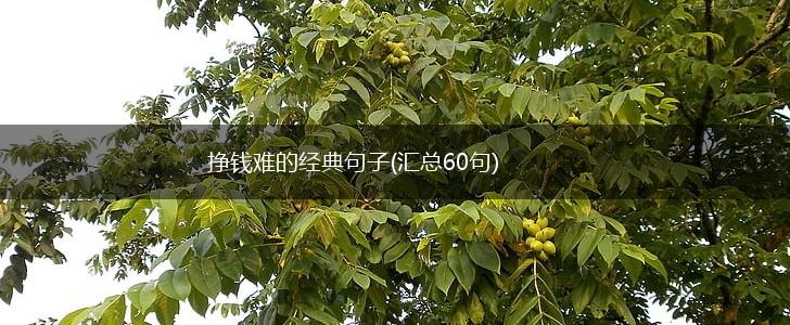 挣钱难的经典句子(汇总60句),第1张
