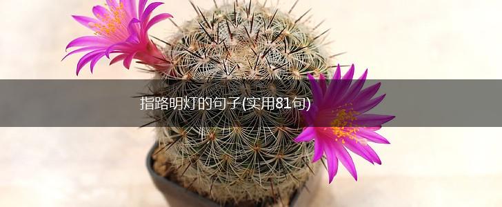 指路明灯的句子(实用81句),第1张