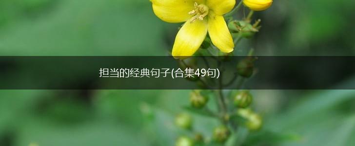 担当的经典句子(合集49句),第1张