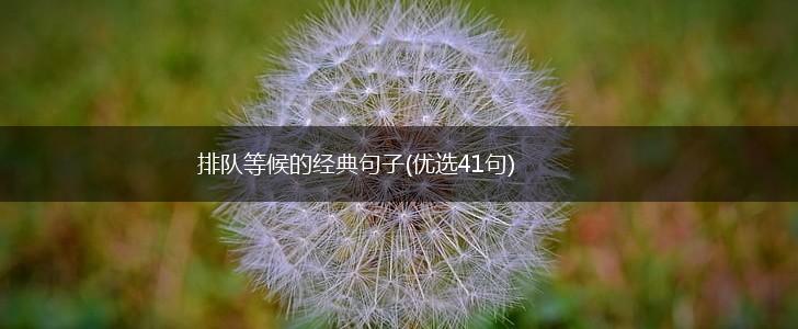排队等候的经典句子(优选41句),第1张