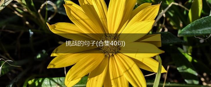 挑战的句子(合集40句),第1张 挑战的句子(合集40句),第1张