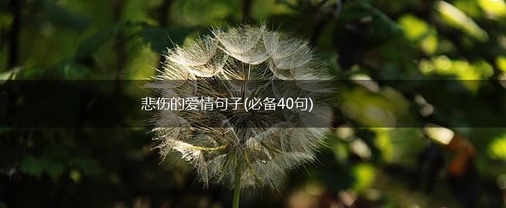 悲伤的爱情句子(必备40句),第1张