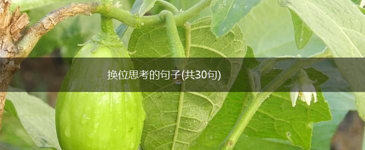 换位思考的句子(共30句),第1张