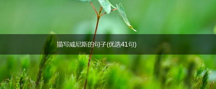 描写威尼斯的句子(优选41句),第1张