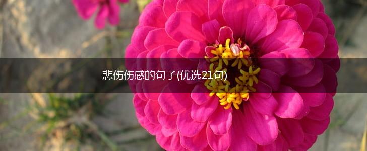悲伤伤感的句子(优选21句),第1张