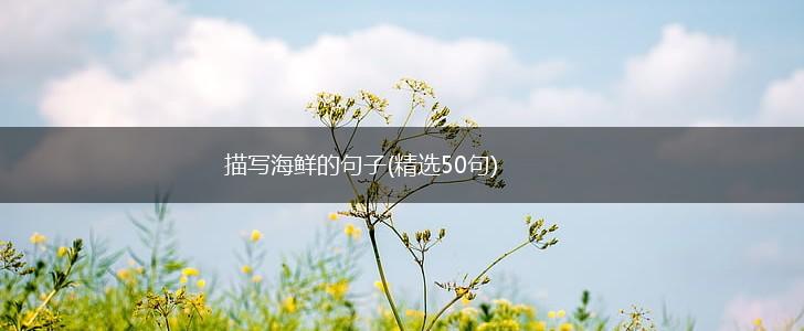 描写海鲜的句子(精选50句),第1张