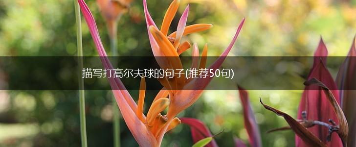 描写打高尔夫球的句子(推荐50句),第1张
