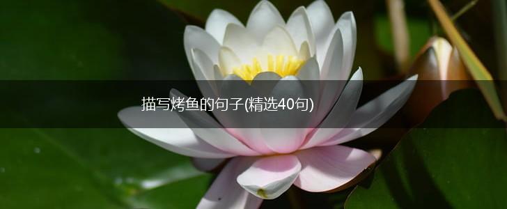 描写烤鱼的句子(精选40句),第1张