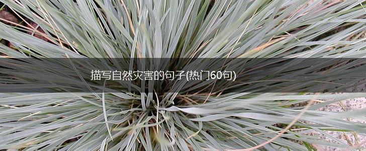 描写自然灾害的句子(热门60句),第1张