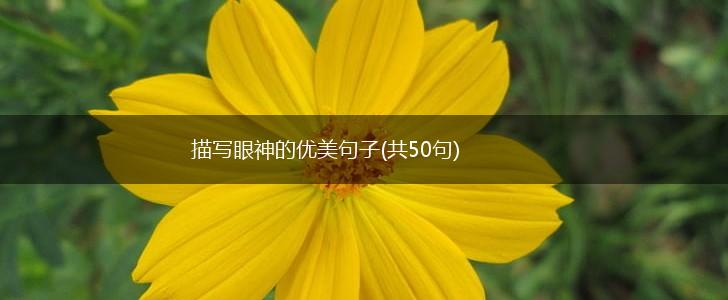 描写眼神的优美句子(共50句),第1张
