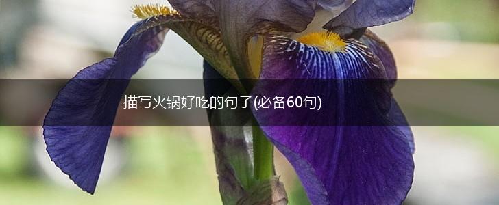 描写火锅好吃的句子(必备60句),第1张