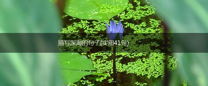 描写深海的句子(实用41句),第1张