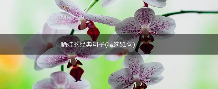 晒娃的经典句子(精选51句),第1张