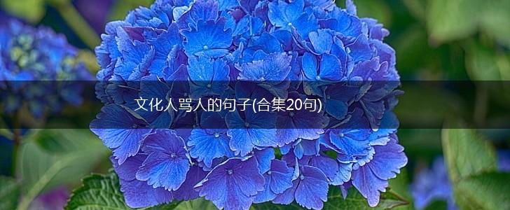 文化人骂人的句子(合集20句),第1张