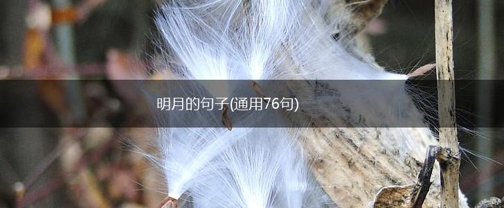 明月的句子(通用76句),第1张