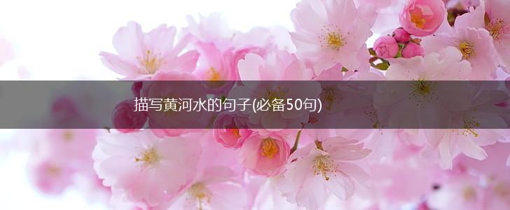 描写黄河水的句子(必备50句),第1张