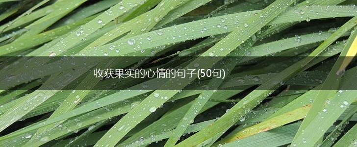 收获果实的心情的句子(50句),第1张