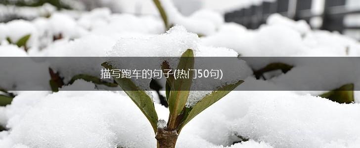 描写跑车的句子(热门50句),第1张