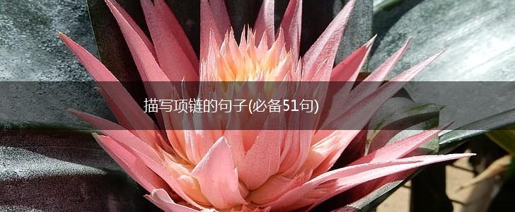 描写项链的句子(必备51句),第1张