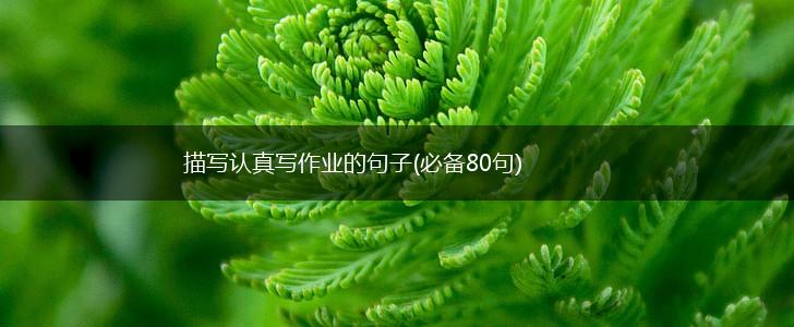 描写认真写作业的句子(必备80句),第1张