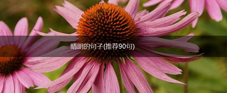 晴朗的句子(推荐90句),第1张