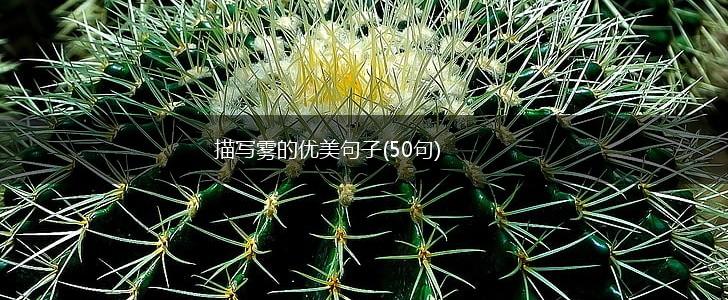 描写雾的优美句子(50句),第1张