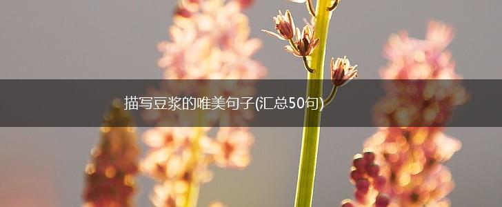 描写豆浆的唯美句子(汇总50句),第1张