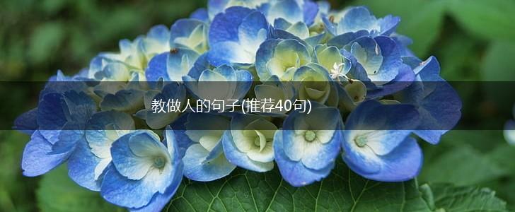 教做人的句子(推荐40句),第1张