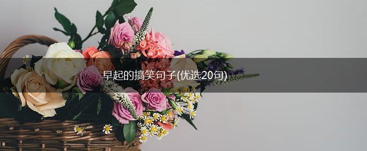 早起的搞笑句子(优选20句),第1张 早起的搞笑句子(优选20句),第1张